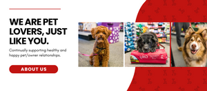 Healthy Pet Center Pet Store Pet Food Pet Supplies New York